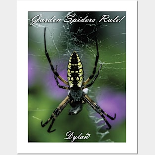 Garden Spider Posters and Art